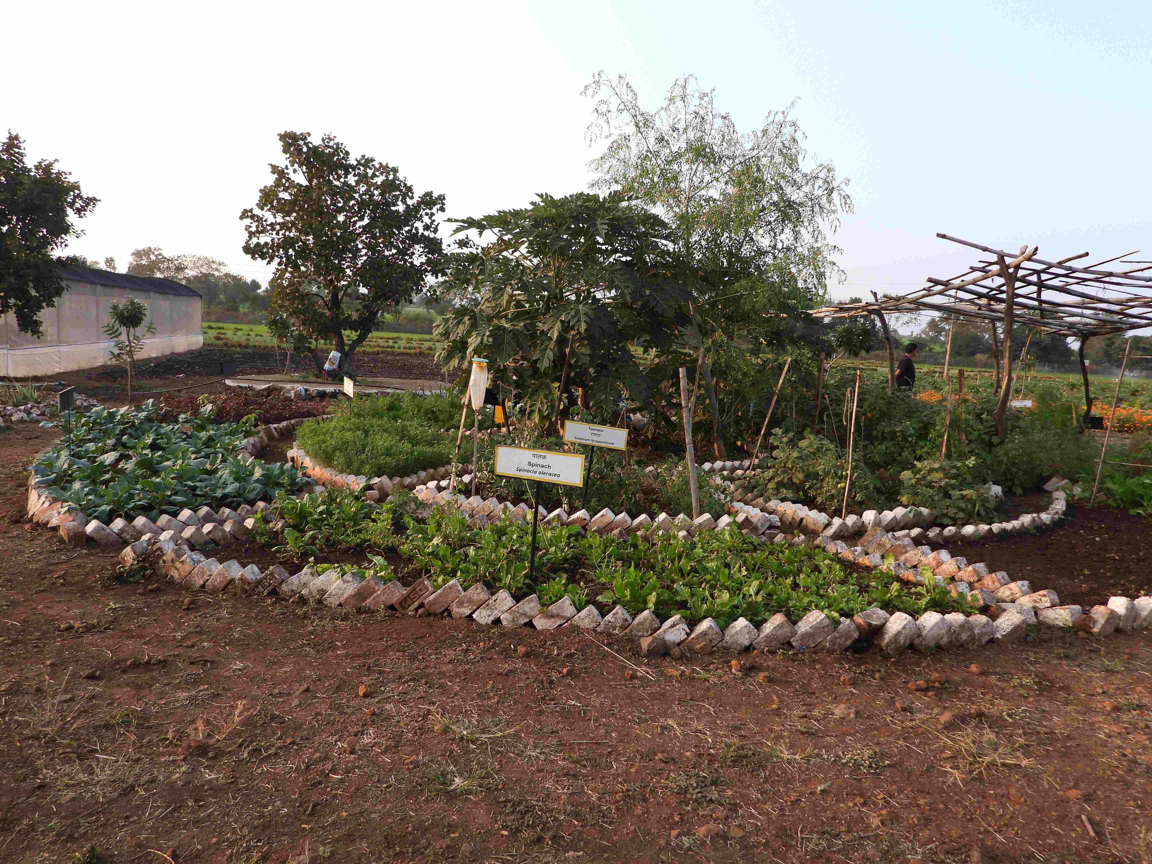 Nico Roozen Centre for Regenerative Agriculture