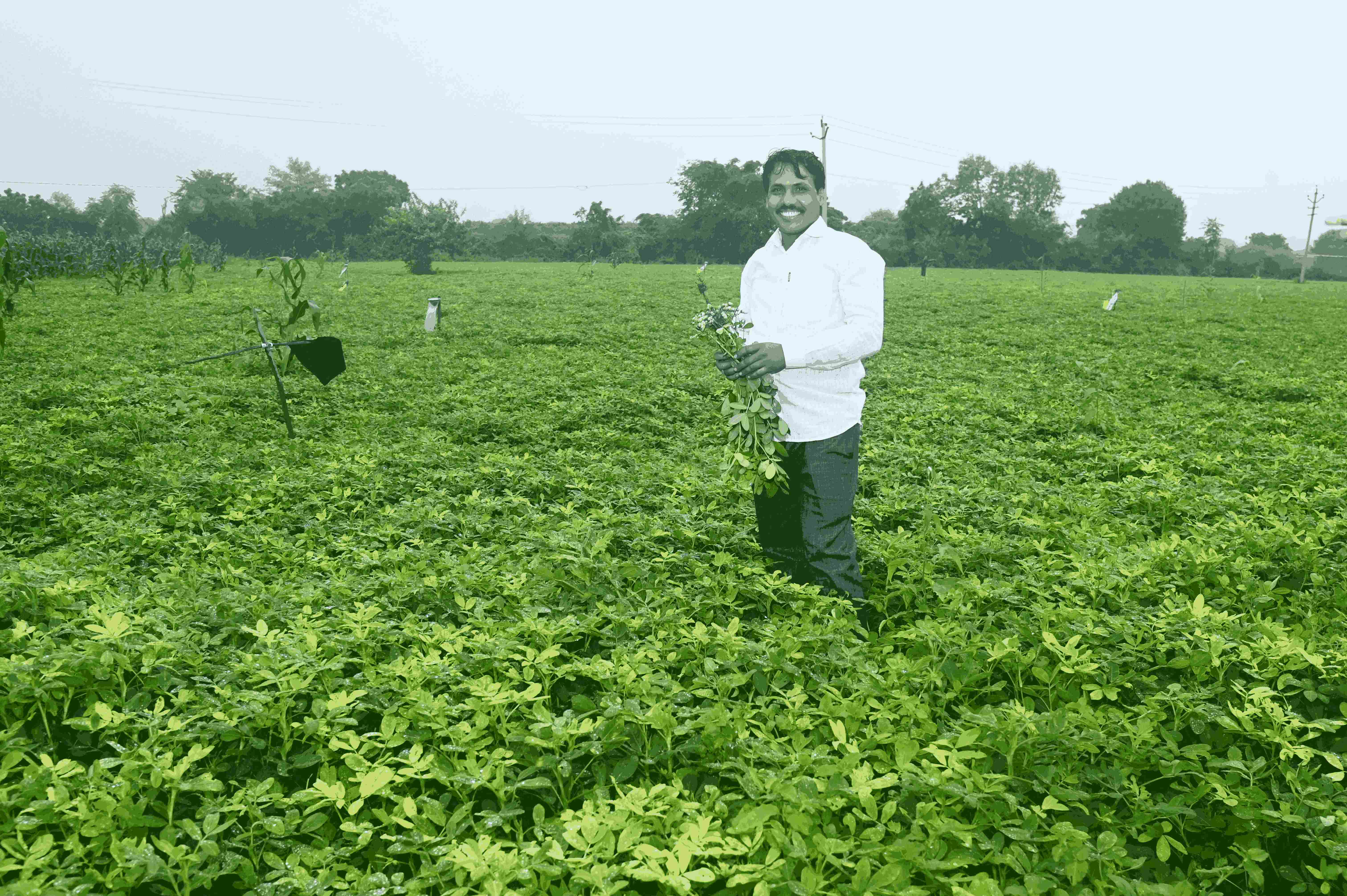 Agriculture